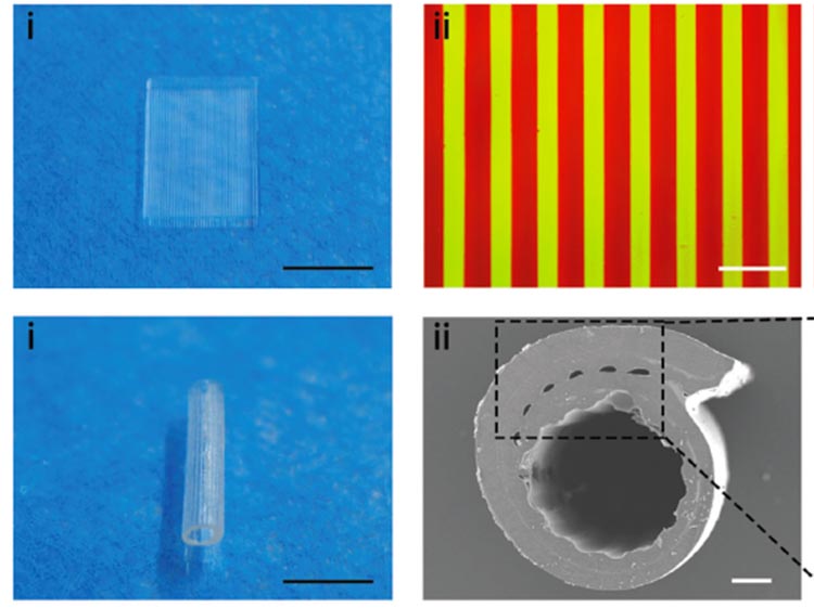 3D-printed medical nerve bandages 3